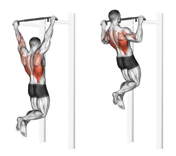 Pull-ups (Dominadas)