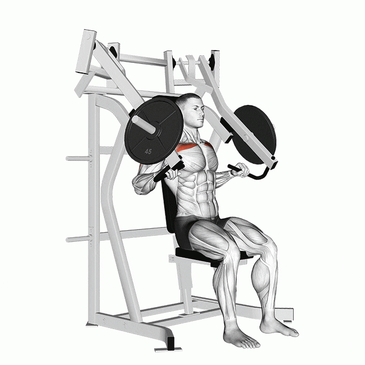 Press en máquina