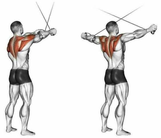 Posterior en poleas
