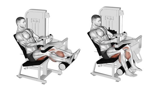Femoral en máquina sentado