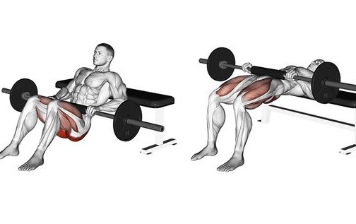 Hip thrust
